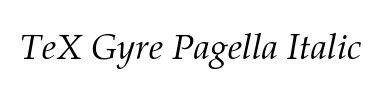 Carattere TeX Gyre Pagella Italic