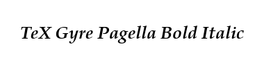 Carattere TeX Gyre Pagella Bold Italic